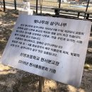 상평초등학교현서분교장 이미지