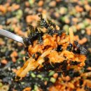 무진장해물탕 이미지