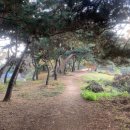 누비길7구간 이미지