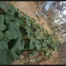 반여3동-12 이미지