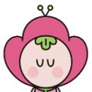 촘촘스칼프
