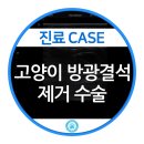 행복동물의료센터 이미지
