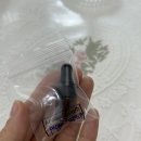 샬롬교육연구소 이미지