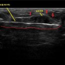 유샘외과의원 이미지