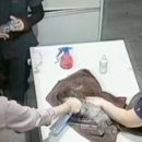 진동물병원 이미지