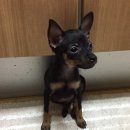 이상윤동물병원 이미지