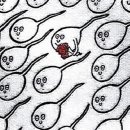 홍양(주) | 인천 아인병원 난임센터 자연 임신 준비 | 다낭성난소증후군, 과배란주사 IVF-M HP