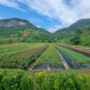 동해시-9 이미지