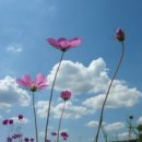 가을하늘 이미지