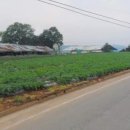 당진제일주유소 이미지