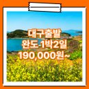 코아모텔 | 대구_완도_1박2일 #청산도 / 대구출발 완도 패키지 여행 / 완도연안여객선터미널