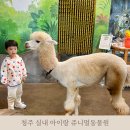 금복목장 | 청주 실내 아이랑갈만한곳 쥬니멀동물원 솔직후기