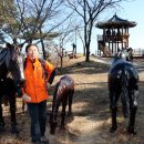 한마음목장 이미지