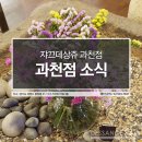 쟈크데상쥬헤어과천점