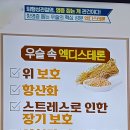 관절염운동선수들도 선호하는 천연 스테로이드 우슬효과 전주 송천동 해나무 한의원 야간진료 이미지