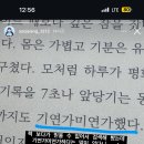 아개웃겨기연가미연가 이미지