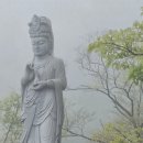 부처님 말씀/ 과보는 누구도 대신 받을 수 없다 이미지