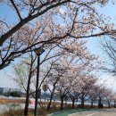 남대천로 이미지