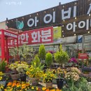 아이비화원 이미지