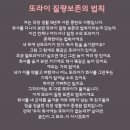 애견시대 이미지