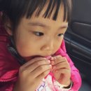 마리웨일마카롱 - 안산시 단원구 광덕대로 193 | 마리웨일마카롱