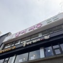 냥이싸롱 - 천안시 동남구 먹거리11길 26-1 | [대전 은행동 카페] 고양이 20마리와 함께하는 힐링 타임 🐱 냥이싸롱 방문후기