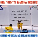 효단태권도장 이미지