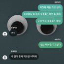 석원나라 | 3&4월을 변기에 넣고서 내려..