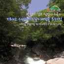 제55차 정기산행 지리산 서산대사길~대성골(7월17일) 이미지