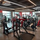 디나휘트니스 이미지