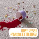필요가 | 시공 매트 관리 걱정? 하실 필요가 없어요! — 니치039 창원 시공 후기