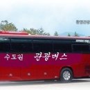 벌교 중앙초교 이미지