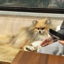 바로나도 수원영통 이미지