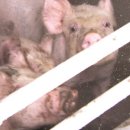 이성우농장 이미지