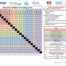 항생제 알레르기시 cross allergy 이미지