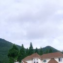 메릴랜드맨션 이미지