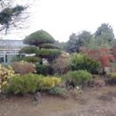 성읍리-2 이미지