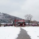데굴데굴