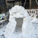 백당금 Daum카페