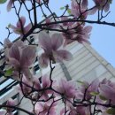 교대역 1번출구 이미지