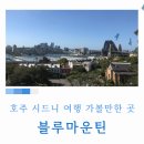 4799 | 호주 시드니 여행 가볼만한 곳 추천! 시드니 당일치기 '블루마운틴' 후기ㅣBEST3 투어 가격 비교