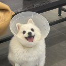 부천24시SKY동물메디컬센터 이미지