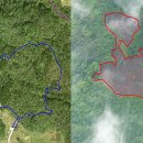 곶자왈거문오름 이미지