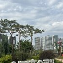 위례동주민센터앞(버스정류장) 이미지