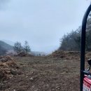 주식회사 미소게 이미지