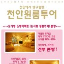 백석대학교 부속유치원 이미지