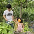 배내별장 이미지