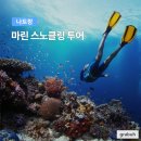 마린투어