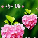 멋진인생