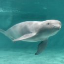 새마음연합의원 이미지